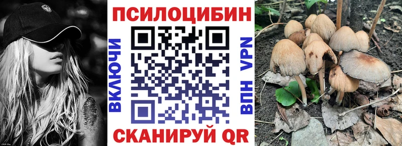 hydra как войти  Дзержинск  Галлюциногенные грибы мицелий 