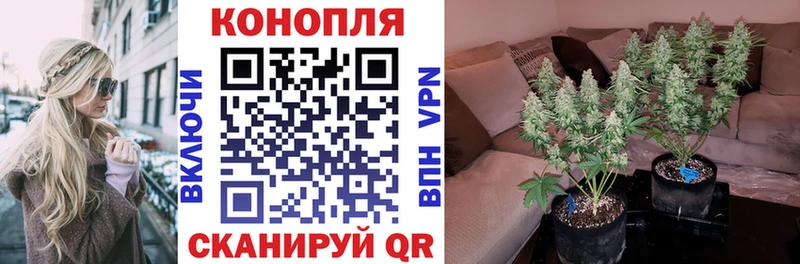 Шишки марихуана конопля  Дзержинск 